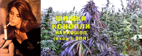 гидропоника Пересвет