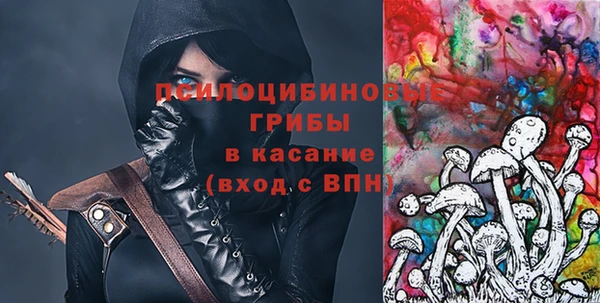 гидропоника Пересвет