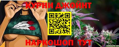 прущие крисы Аргун