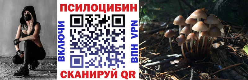 мега ссылки  Асино  Галлюциногенные грибы мухоморы 