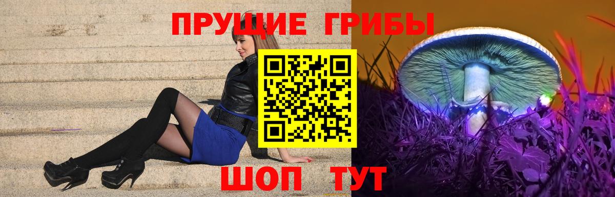 Галлюциногенные грибы Psilocybe Асино