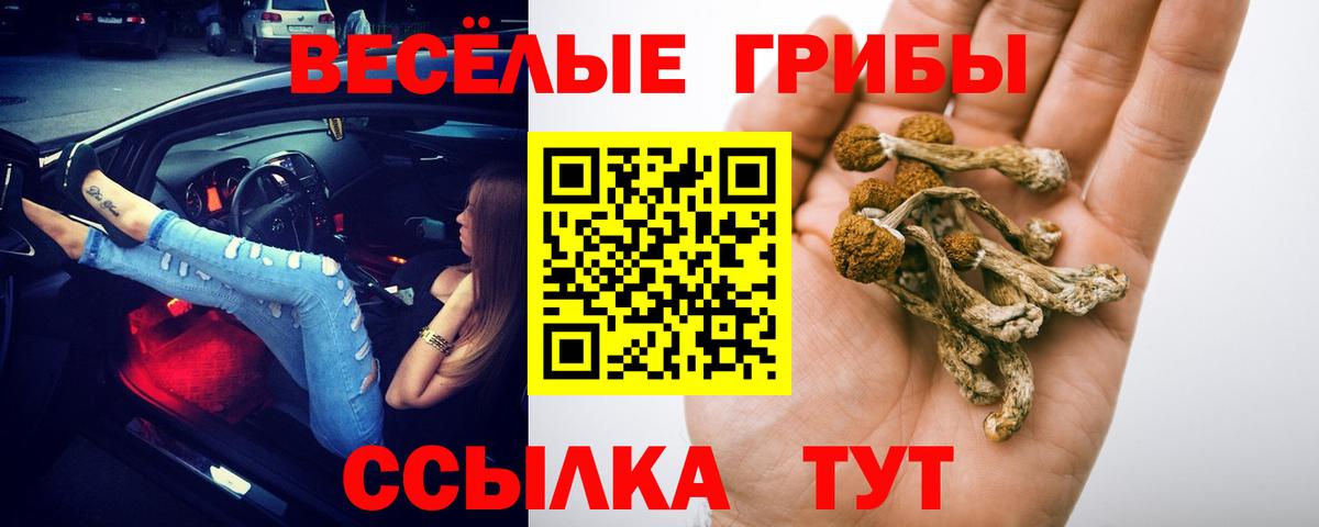 Асино  Псилоцибиновые грибы прущие грибы  Вход с VPN 